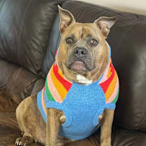 Thumbnail photo of Linda #1