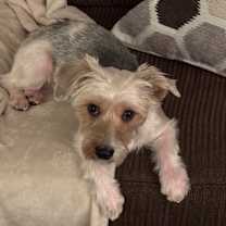 Thumbnail photo of Kirby #2