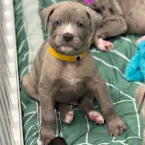 Thumbnail photo of RIPPLE #1