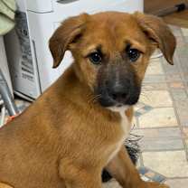 Thumbnail photo of NY Titus Avail Dec 27 (Tractor Supply - Patterson) #1