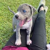 Thumbnail photo of ROXANNE #2