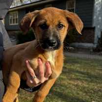 Thumbnail photo of NY Titus Avail Dec 27 (Tractor Supply - Patterson) #2