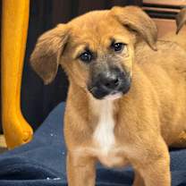 Thumbnail photo of NY Titus Avail Dec 27 (Tractor Supply - Patterson) #3