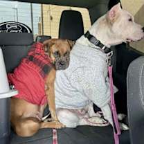 Thumbnail photo of Taylor & Travis #1