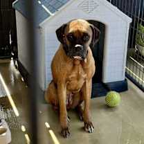 Thumbnail photo of Taylor & Travis #4