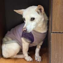 Thumbnail photo of Nuni #2