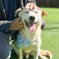 Thumbnail photo of Prince #4