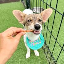 Thumbnail photo of Suzie #2