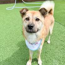 Thumbnail photo of Lotto #1