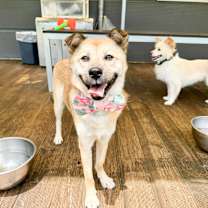 Thumbnail photo of Lotto #3