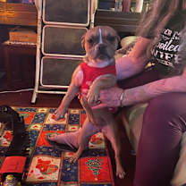 Thumbnail photo of Lola #2