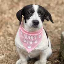 Thumbnail photo of Fiona #1