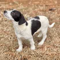 Thumbnail photo of Fiona #2