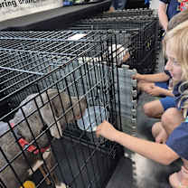 Thumbnail photo of Laney #4