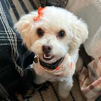 Thumbnail photo of Sadie Marie #1