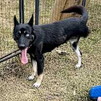 Thumbnail photo of Nyx #4