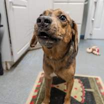 Thumbnail photo of Boyd #2