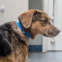 Thumbnail photo of Boyd #3