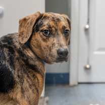 Thumbnail photo of Boyd #4