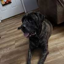 Thumbnail photo of Kane #1