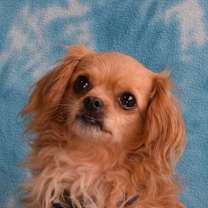 Thumbnail photo of Elsa #1