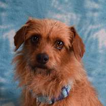 Thumbnail photo of Anna #1