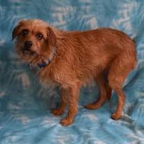 Thumbnail photo of Anna #2