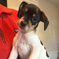 Thumbnail photo of Brotherwell #1