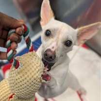 Thumbnail photo of Winifred #2