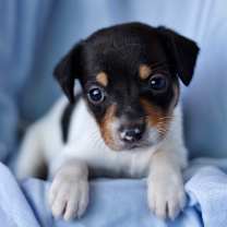 Thumbnail photo of Brotherwell #2