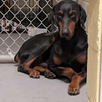 Thumbnail photo of 12/20/2025-Lucas-18thstreet #1