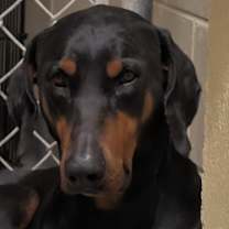 Thumbnail photo of 12/20/2025-Lucas-18thstreet #3