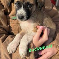 Thumbnail photo of Waldo #3