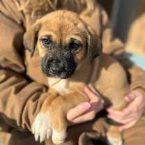 Thumbnail photo of Waldo #4