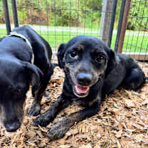 Thumbnail photo of Jenn #2