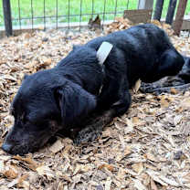 Thumbnail photo of Jenn #3