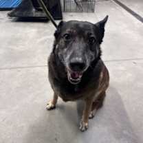 Thumbnail photo of 59985743 #2