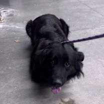 Thumbnail photo of 59985746 #2