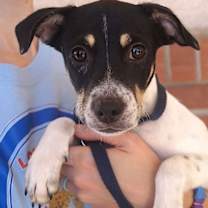 Thumbnail photo of Lilia #1