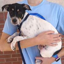 Thumbnail photo of Lilia #2