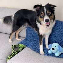 Thumbnail photo of Pip #1