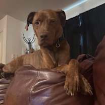 Thumbnail photo of Fred #1