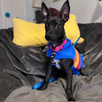 Thumbnail photo of Sofia #3