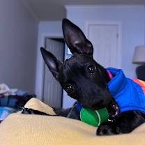 Thumbnail photo of Sofia #4