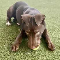 Thumbnail photo of Maverick #3