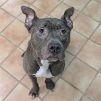 Thumbnail photo of PRINCE #1