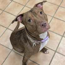 Thumbnail photo of LYRIC #2