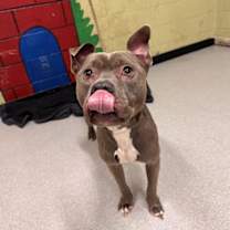 Thumbnail photo of PRINCE #2