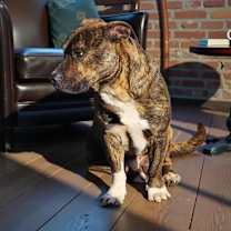 Thumbnail photo of Grayson #3