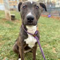 Thumbnail photo of Paris #1